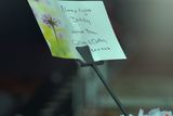 thumbnail: Floral tributes for Michael Barr at his funeral in Strabane Co Tyrone this morning. Barr was shot dead at the end of April in a pub in Dublin. It is thought his murder is part of a bitter feud between rival gangs in the city.
PACEMAKER BELFAST   05/05/2016